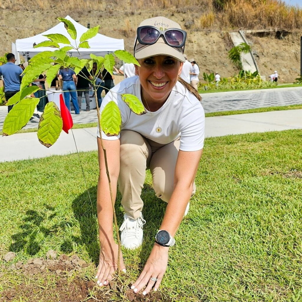 guayacanes