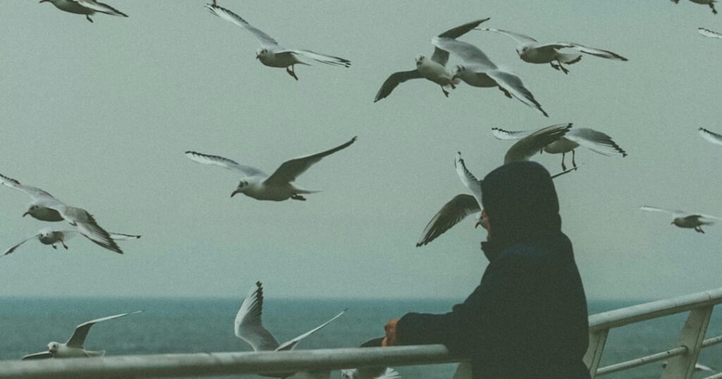 Día Mundial de las aves migratorias