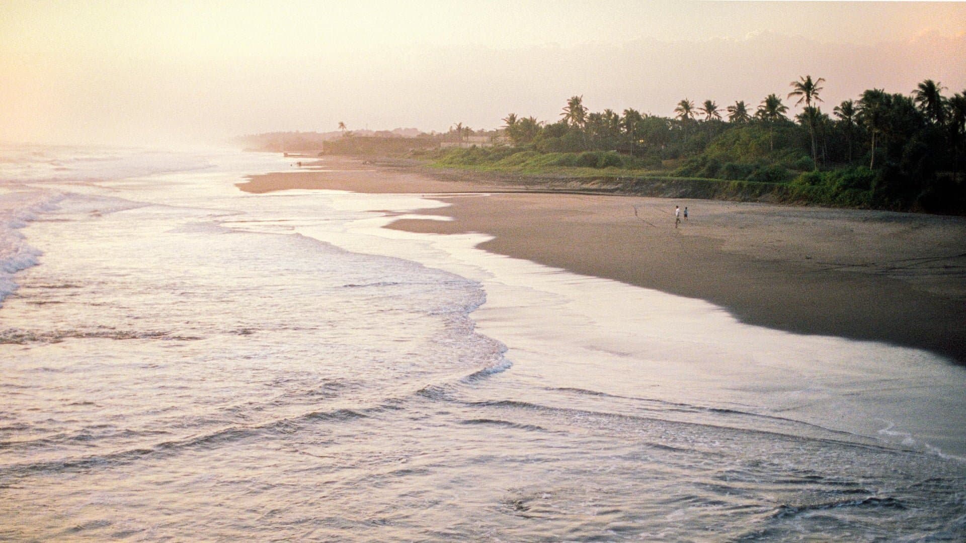 Ciencia desde Coiba