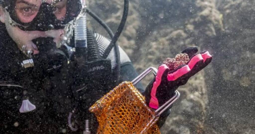 Ciencia desde Coiba