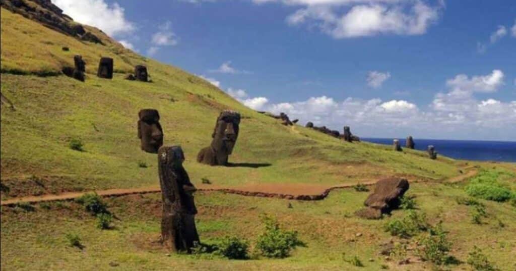 toromiros de la isla de Pascua