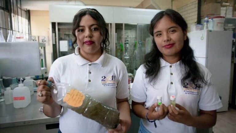 estudiantes mexicanas