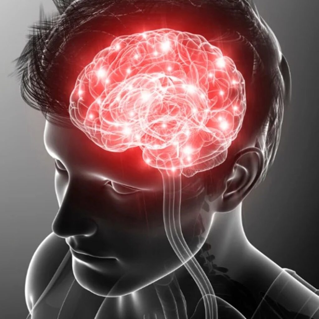 LAS NEURONAS