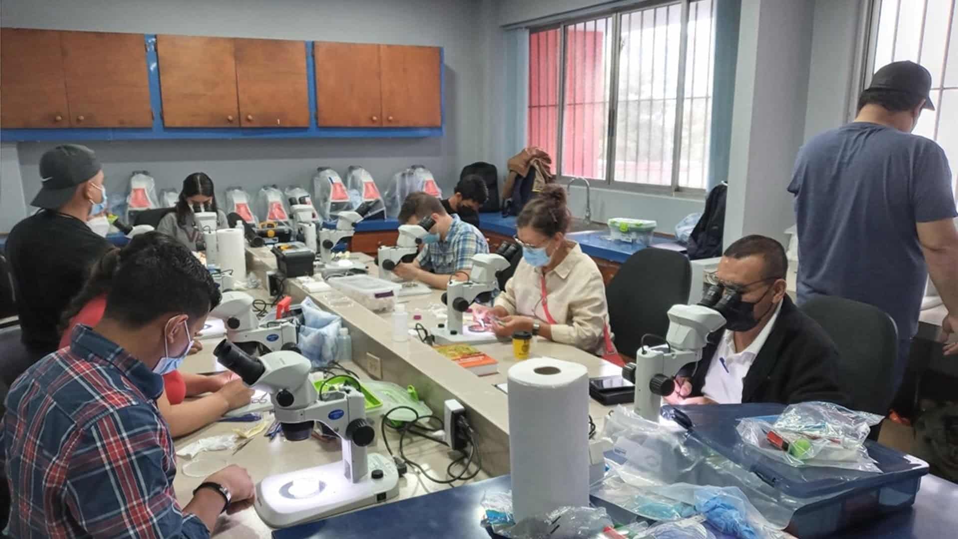 Entomología