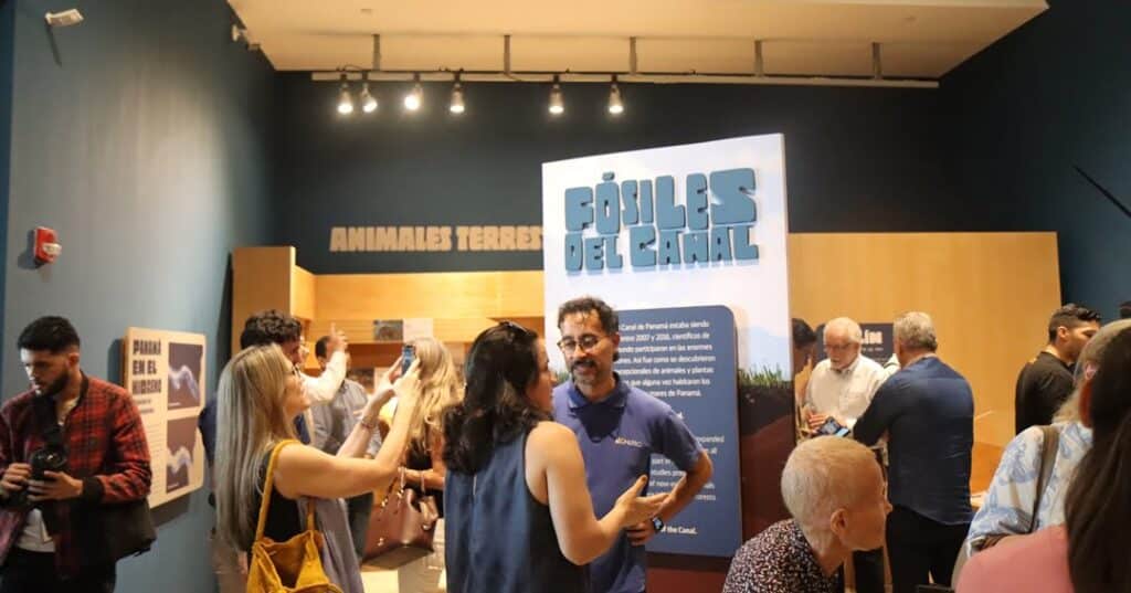 Fósiles del Canal
