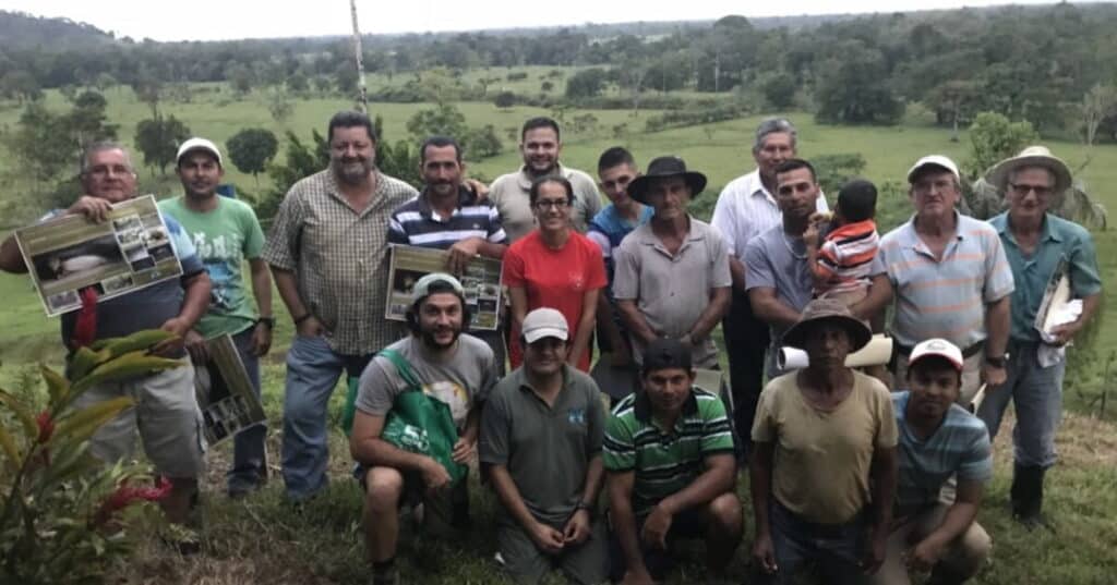 Jaguares y pumas