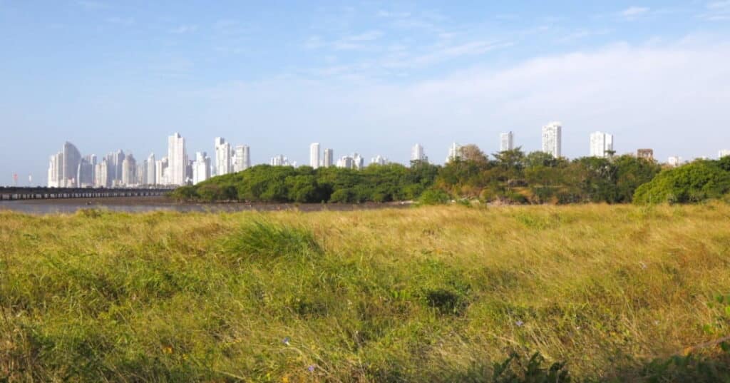 Panamá Viejo