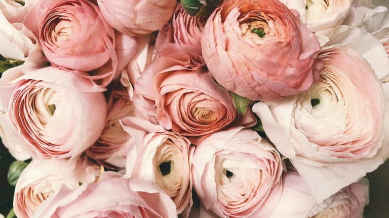 Ramos de flores