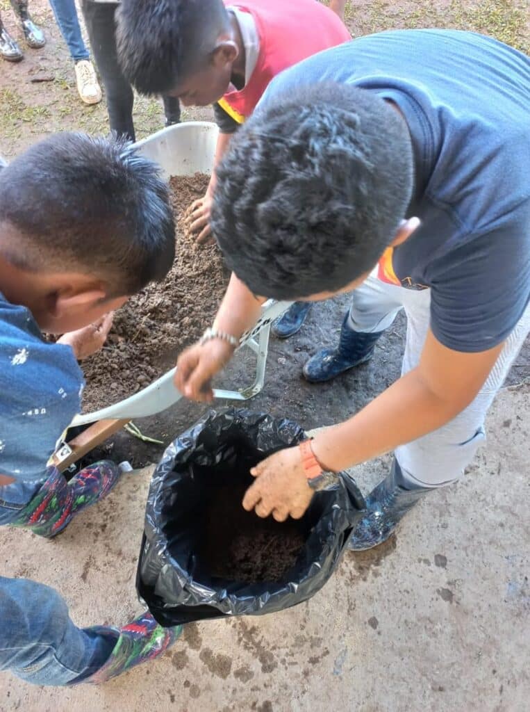 abono orgánico