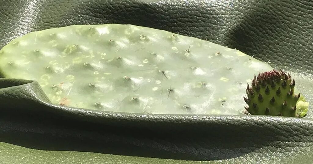 mochila solar