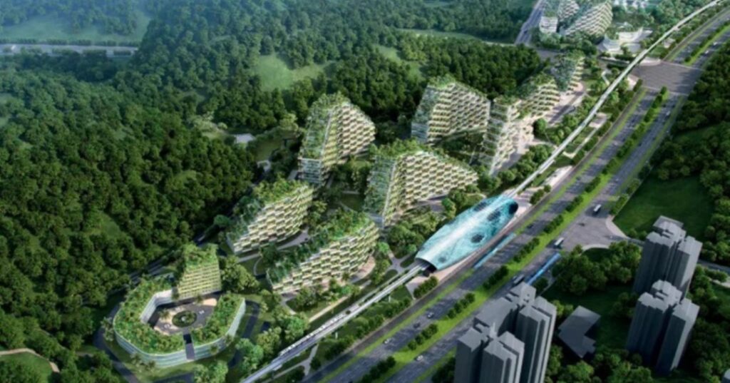 Ciudad forestal
