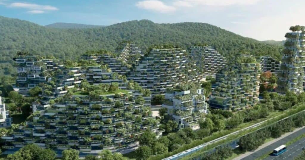 Ciudad forestal
