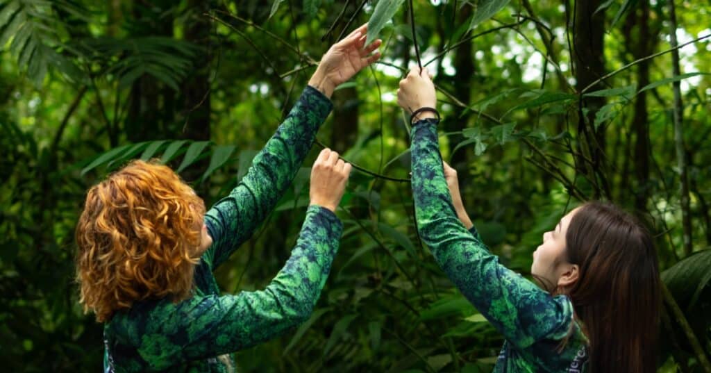 Donativos ambientales Ford