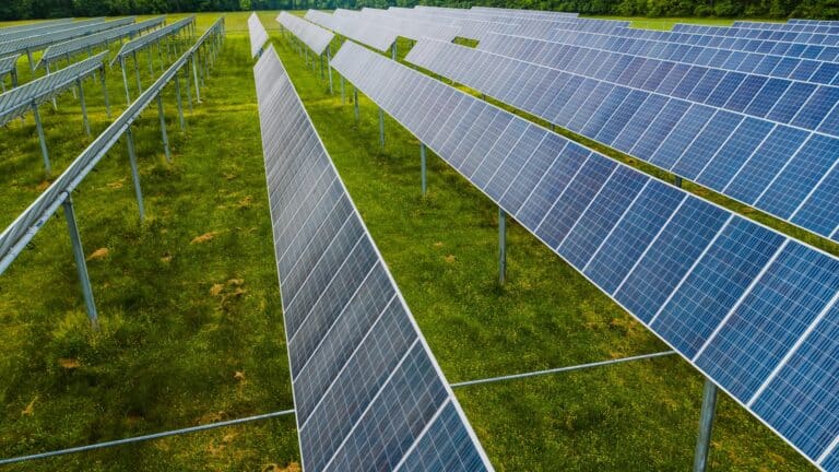 Paneles solares