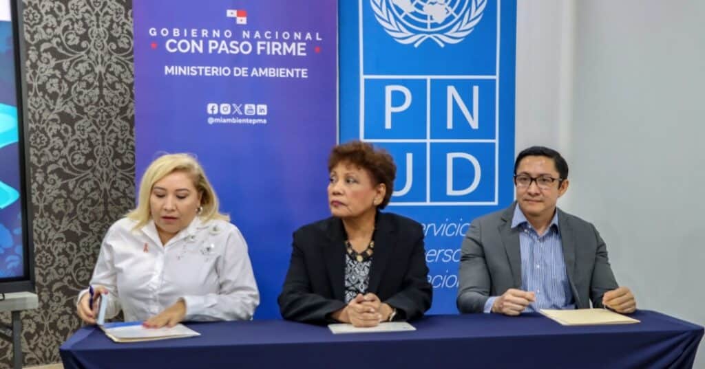 promoción del enfoque de género