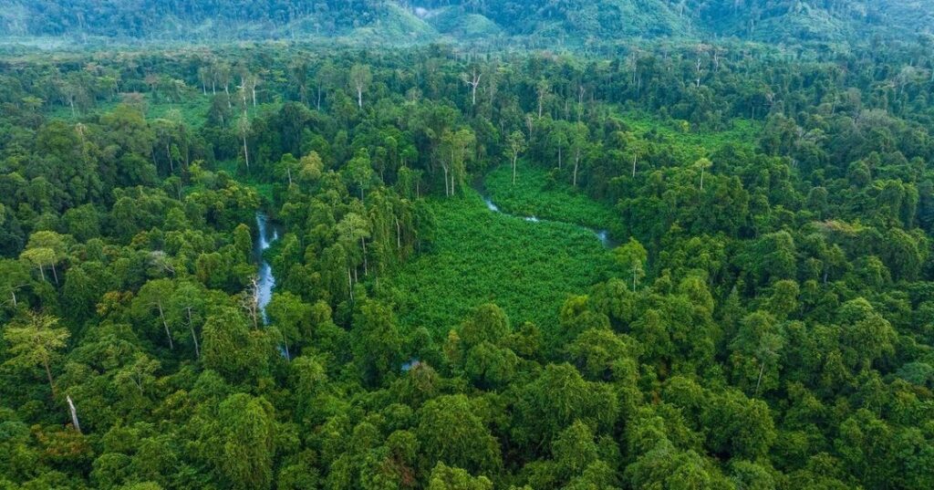 Global Conservation