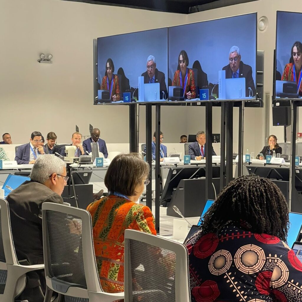 Panamá en la cop29