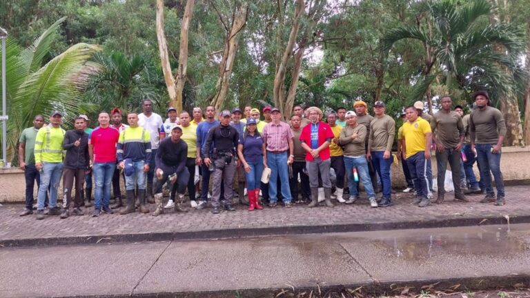 Voluntarios ambientales