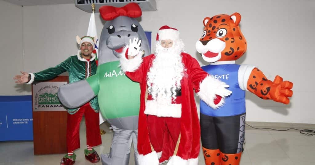 NAVIDAD VERDE