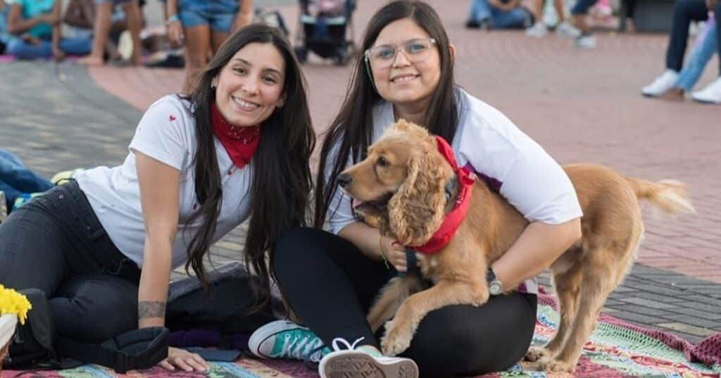 Cine Picnic