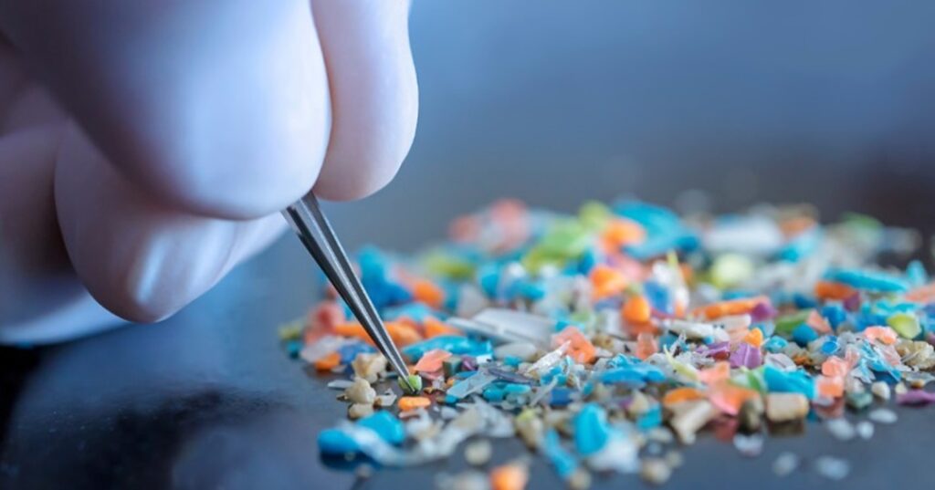 Hueso de calamar y algodón