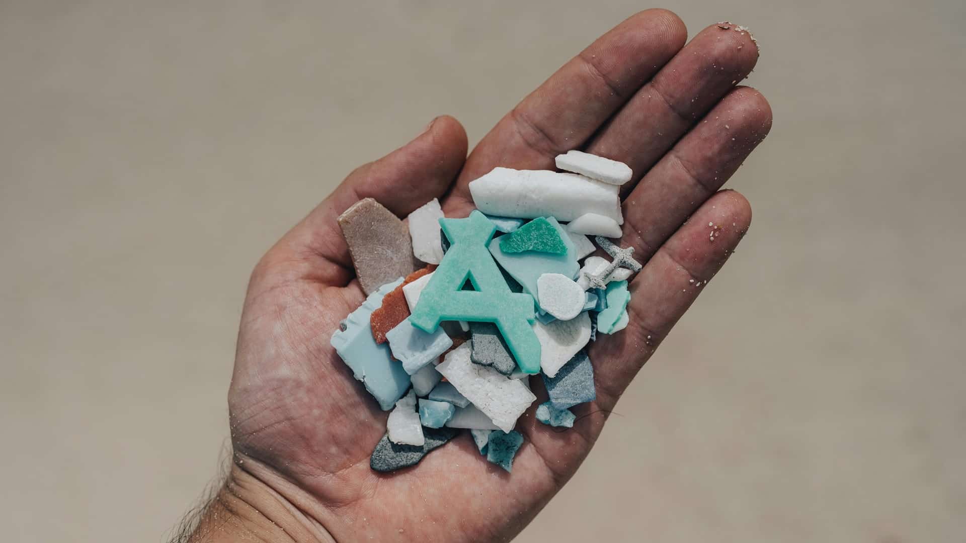 Hueso de calamar y algodón