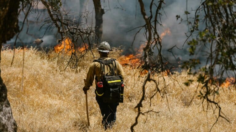 incendios forestales