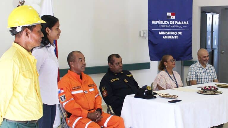 Incendios forestales en David