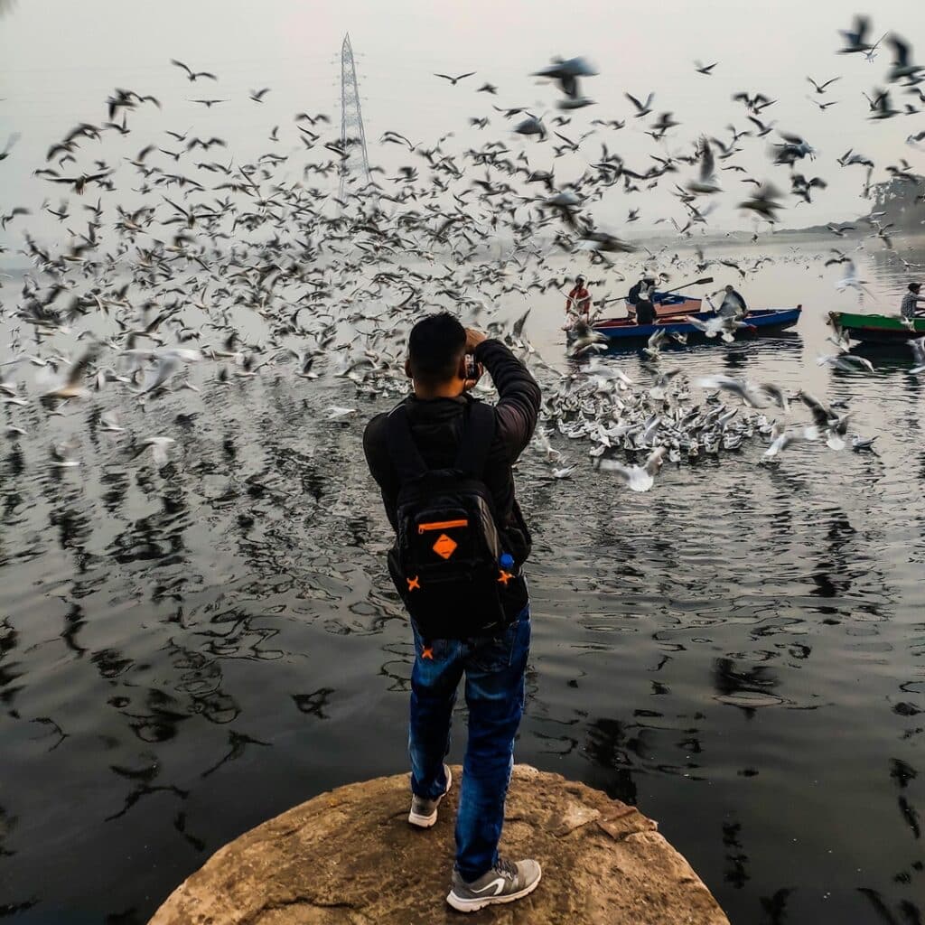 Premios de fotografía Audubon