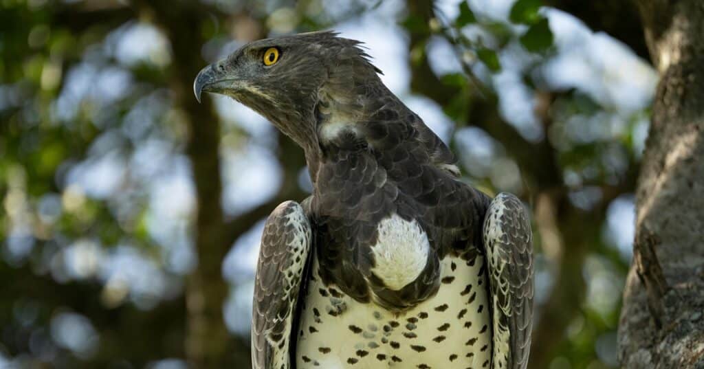 turismo ornitológico