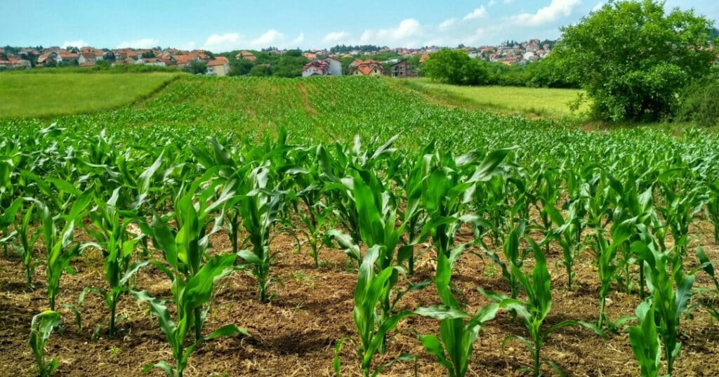 JORNADA CIENTÍFICA FRANCO PANAMEÑA