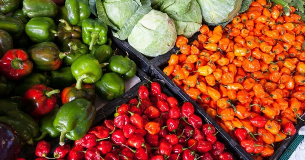 JORNADA CIENTÍFICA FRANCO PANAMEÑA