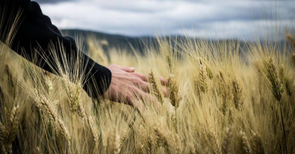 JORNADA CIENTÍFICA FRANCO PANAMEÑA