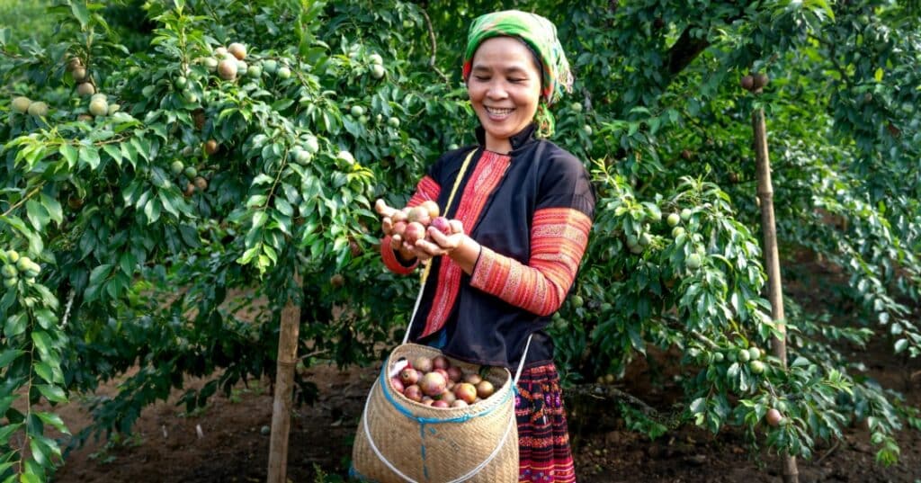 Mujeres contra el Cambio Climático