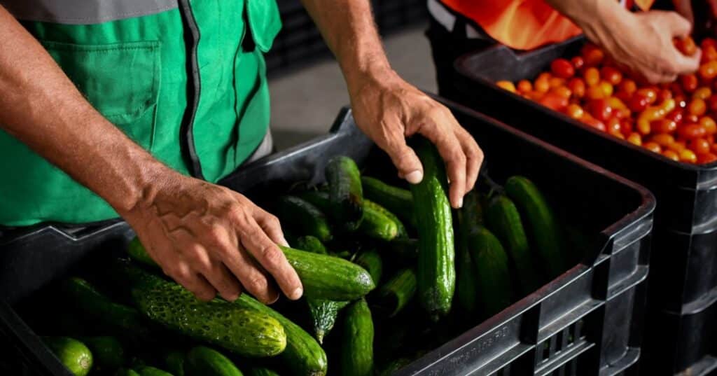 Donativos ambientales Ford 2025