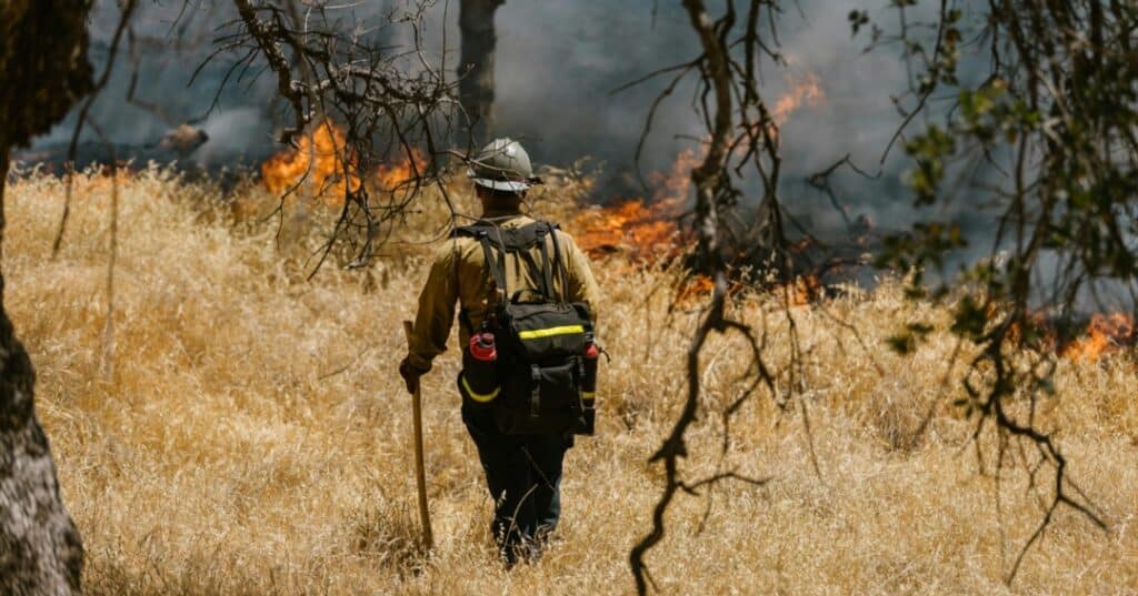 Crisis climatica vs capitalismo 3