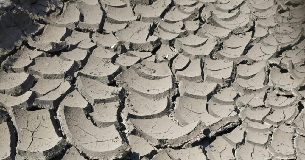 Crisis climática vs capitalismo