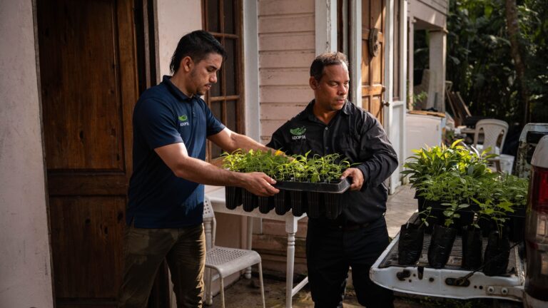 Donativos ambientales Ford 2025