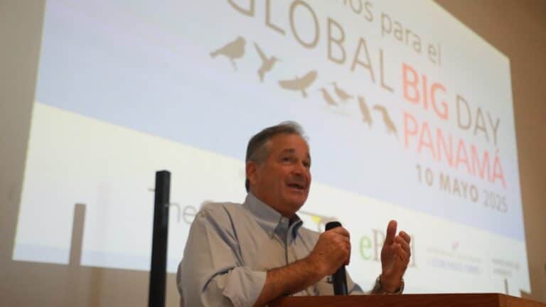 Global Big Day