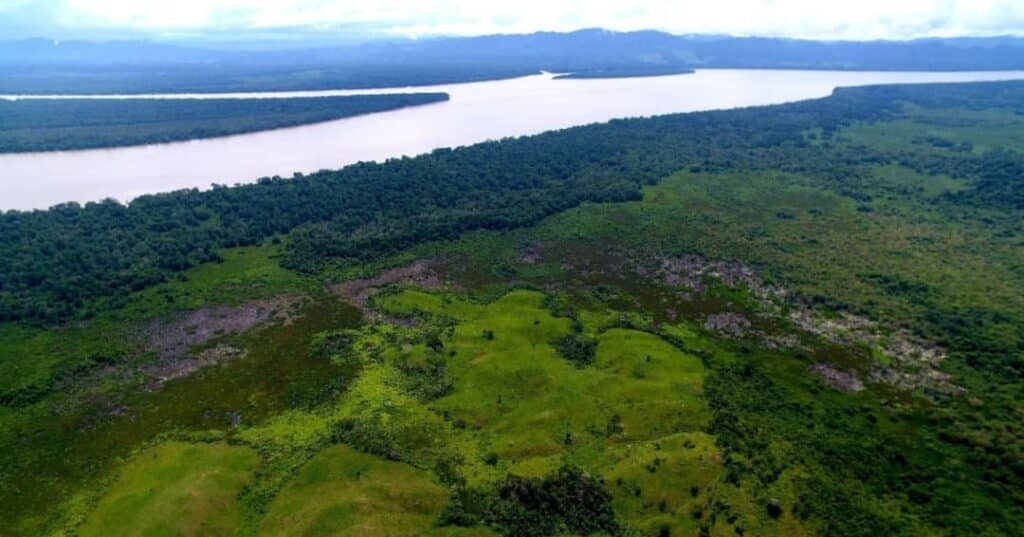 Humedales de Matusagaratí