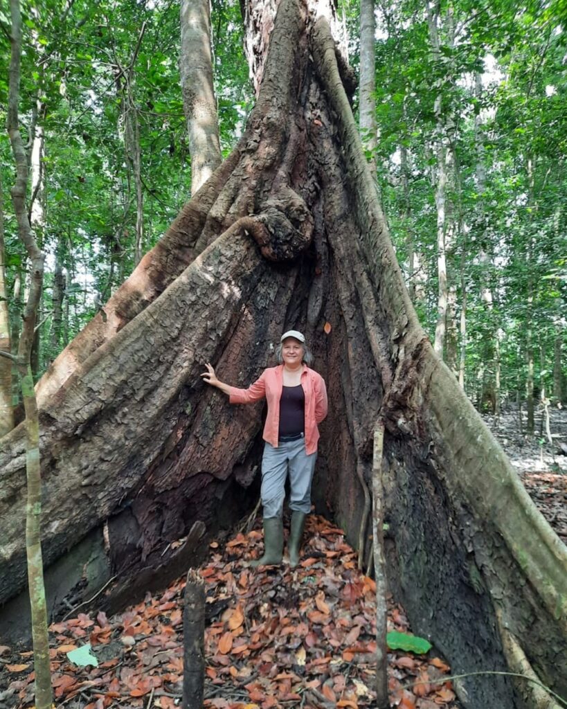 Humedales de Matusagaratí