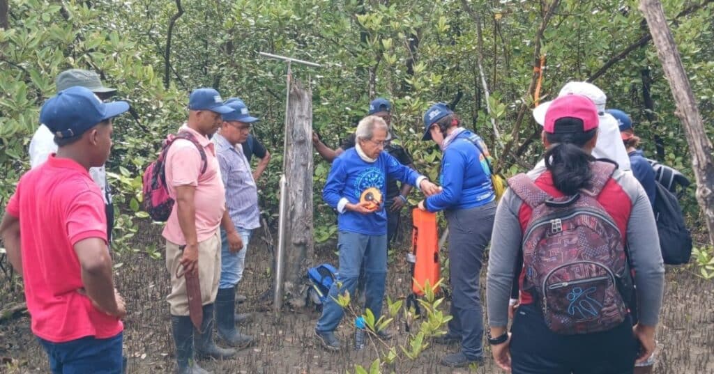 Proyecto mangres