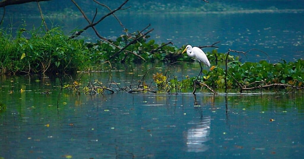 San San Pond Sak