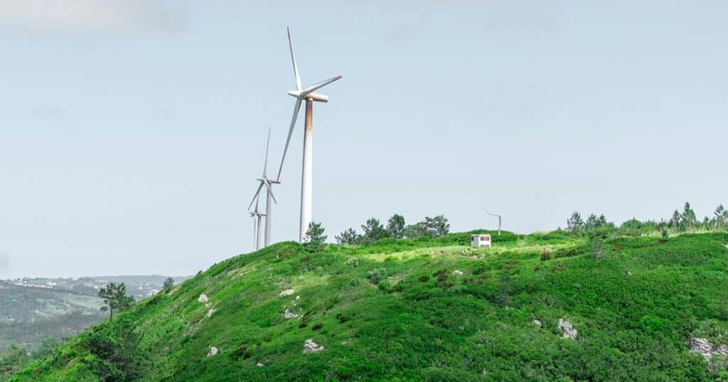 Divya Tyagi