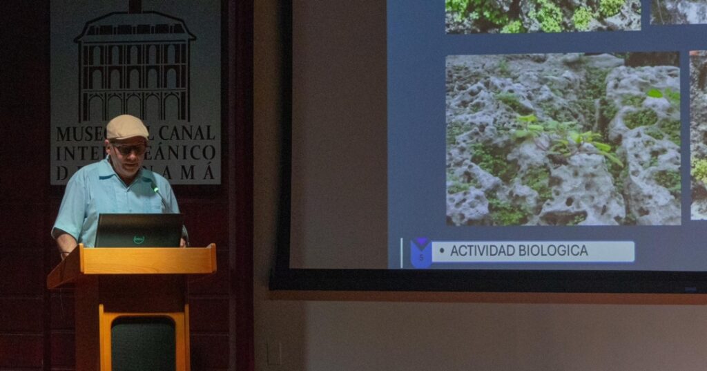 Seminario Internacional de Arqueometria 5