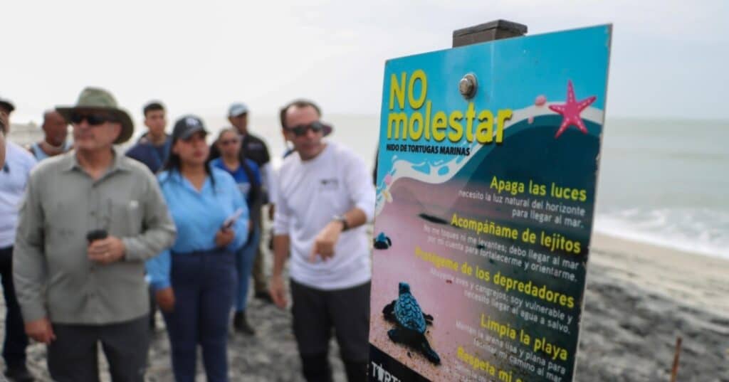 Campana proteccion de tortugas marinas 4
