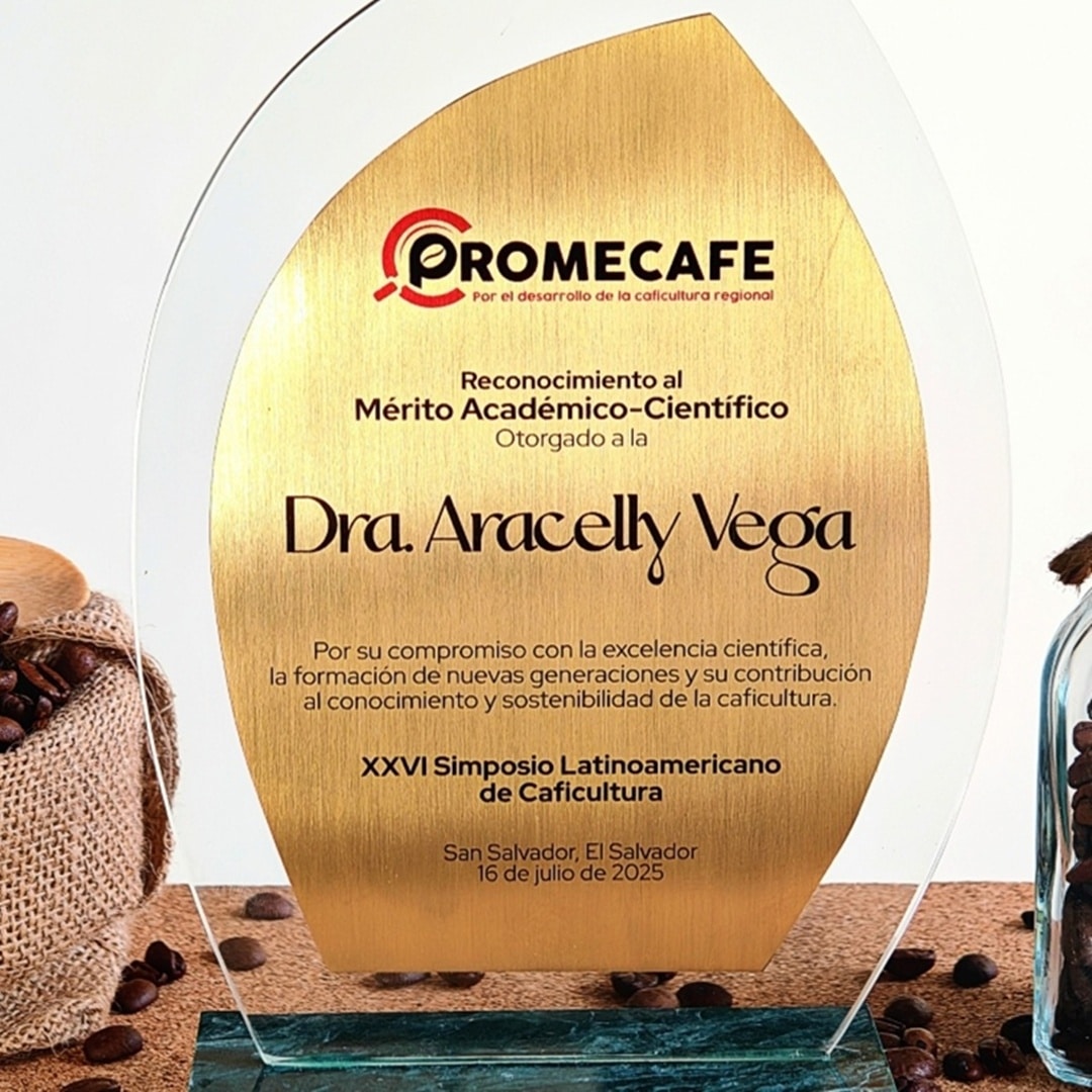 Aracelly Vega
