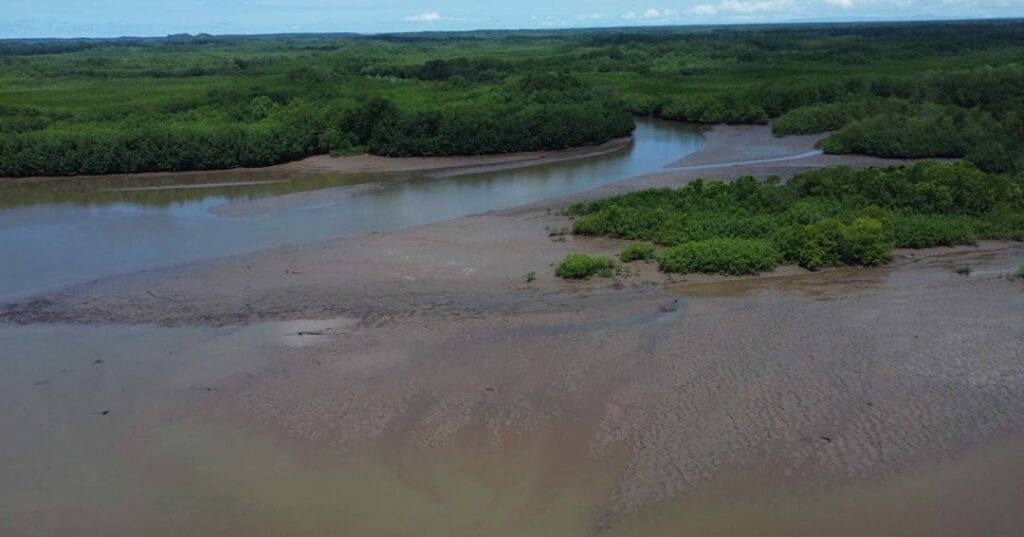 Shallow mangrove area infront of port location