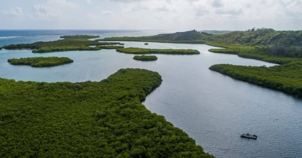 Congreso Regional CCAD