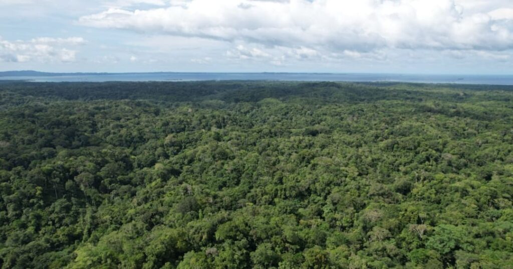 Congreso Regional CCAD